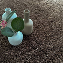 Symara Acorn Brown Rug