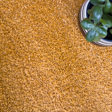 Remi Amber Rug