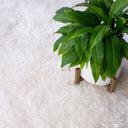 Venus Snow Rug