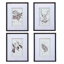 Monochrome Botanical Pencil Art Print - Set of 4 - 50x70cm