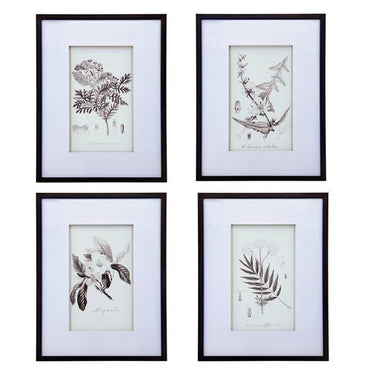 Monochrome Botanical Pencil Art Print - Set of 4 - 50x70cm