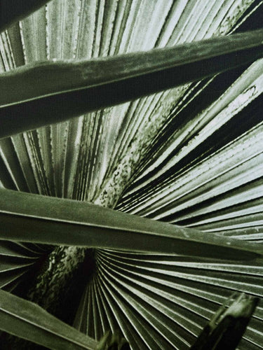 Green Palms Wall Art close up