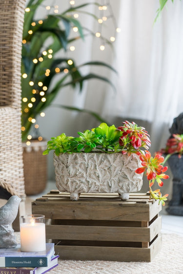 Terracotta Planter - Rectangular 29cm at Online8 Furniture Auckland NZ