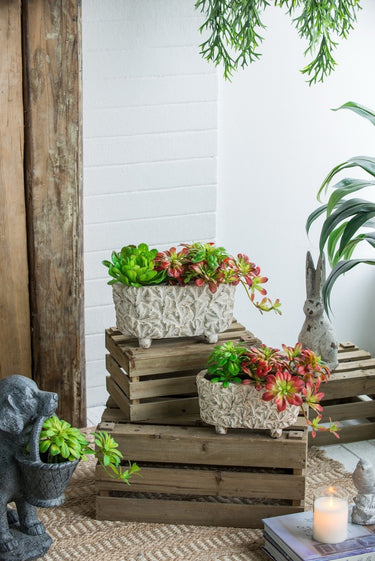 Terracotta Planter - Rectangular 29cm at Online8 Furniture Auckland NZ