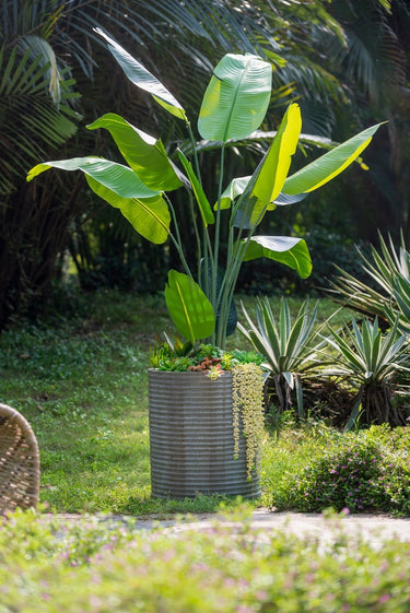 Concrete Planter - Rustic Olive 55cm at Online8 Furniture Auckland NZ