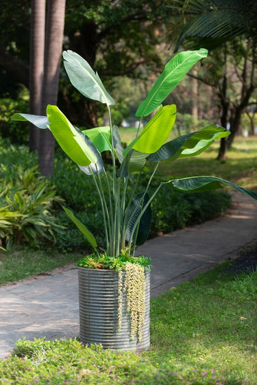 Concrete Planter - Rustic Olive 55cm at Online8 Furniture Auckland NZ