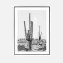 Kansas Print Framed Canvas Wall Art at Online8 Furniture Auckland NZ