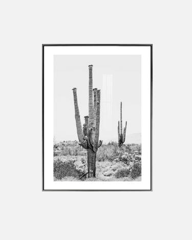 Kansas Print Framed Canvas Wall Art at Online8 Furniture Auckland NZ