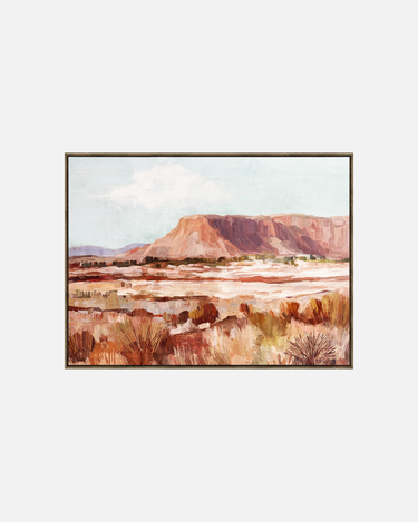 Southwest Print Framed Canvas Wall Art at Online8 Furniture Auckland NZ