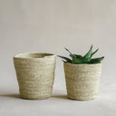 Akiiko - Sabai Grass Pot Cover at Online8 Furniture Auckland NZ