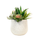 Aloe and Succulent Arrangement - 26cm Faux Plant at Online8 Furniture Auckland NZ