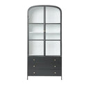Atlas Glass Doors Arched Metal Cabinet - Black at Online8 Furniture Auckland NZ