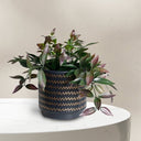 Black/Gold Zig Zag Planter LARGE at Online8 Furniture Auckland NZ