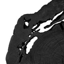 Black Teak Decor at Online8 Furniture Auckland NZ