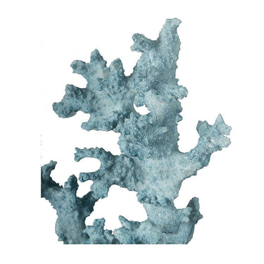 Blue Fax Coral at Online8 Furniture Auckland NZ