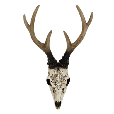 Bone Stag Head with Carving at Online8 Furniture Auckland NZ