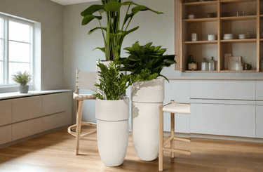 Boston Planter Large - Textured White at Online8 Furniture Auckland NZ