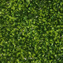 Boxwood Square 50cm x 50cm at Online8 Furniture Auckland NZ