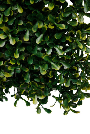 Boxwood Square 50cm x 50cm at Online8 Furniture Auckland NZ