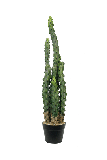 Cactus Potted - 81cm Faux Plant at Online8 Furniture Auckland NZ