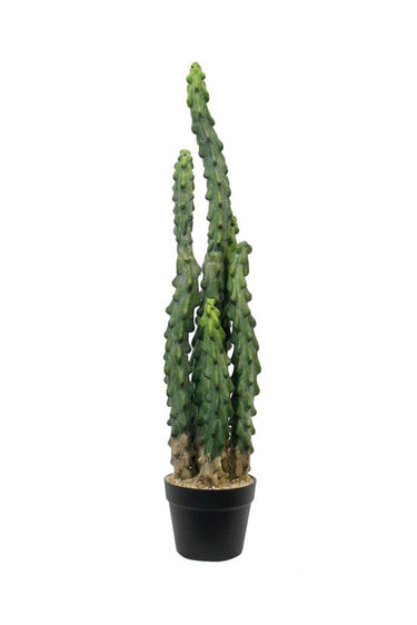 Cactus Potted 81cm at Online8 Furniture Auckland NZ