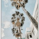 Cali Dreamin' Print 83x113 cm at Online8 Furniture Auckland NZ