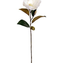 Cameo Magnolia - White at Online8 Furniture Auckland NZ