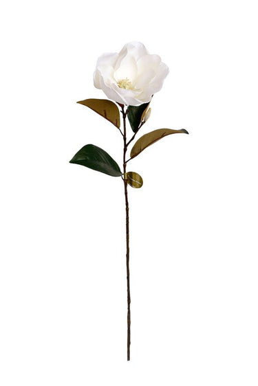 Cameo Magnolia - White at Online8 Furniture Auckland NZ