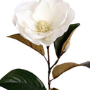 Cameo Magnolia - White at Online8 Furniture Auckland NZ