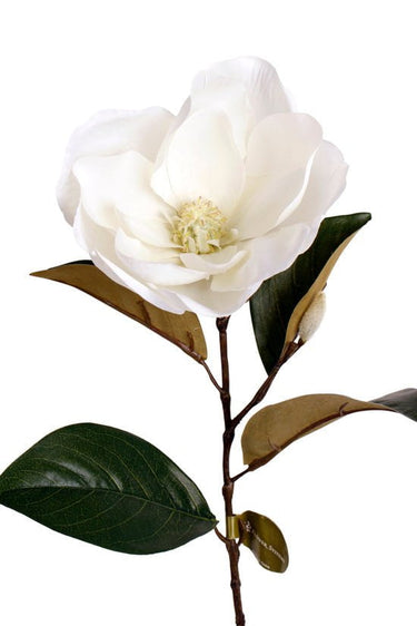 Cameo Magnolia - White at Online8 Furniture Auckland NZ