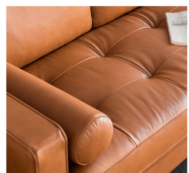 Capilano Mid-Century 2 Seater Sofa - Cognac at Online8 Furniture Auckland NZ