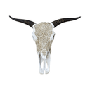Animal Faux Skull Wall Hanging at Online8 Furniture Auckland NZ