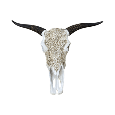 Animal Faux Skull Wall Hanging at Online8 Furniture Auckland NZ