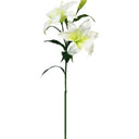 Casablanca Lily at Online8 Furniture Auckland NZ