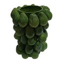 Ceramic Avocado Vessel - Green at Online8 Furniture Auckland NZ