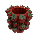 Ceramic Strawberry Vessel - Red at Online8 Furniture Auckland NZ