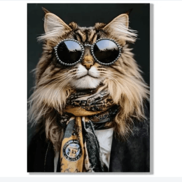 Cool Cat Framed Canvas Wall Art at Online8 Furniture Auckland NZ