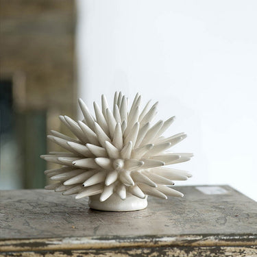 Coral at Online8 Furniture Auckland NZ