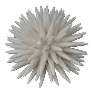 Coral at Online8 Furniture Auckland NZ