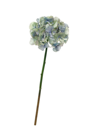 Cottage Hydrangea Winter Blue at Online8 Furniture Auckland NZ