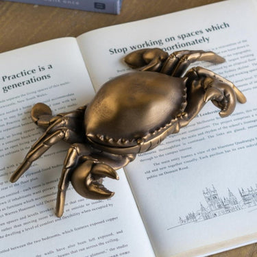Crab Decorative Box at Online8 Furniture Auckland NZ