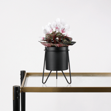 Cyclamen in White Pot - 30Cm Faux Plant at Online8 Furniture Auckland NZ