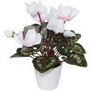 Cyclamen in White Pot - 30Cm Faux Plant at Online8 Furniture Auckland NZ