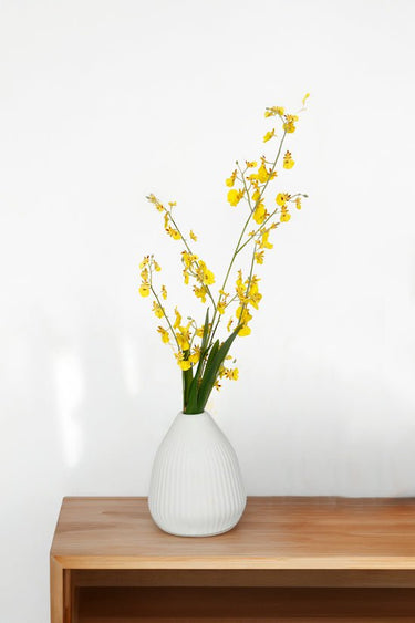 Dancing Orchid at Online8 Furniture Auckland NZ