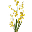 Dancing Orchid at Online8 Furniture Auckland NZ