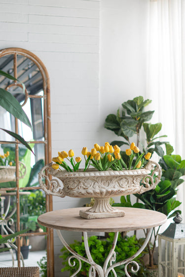 Decorative Vase at Online8 Furniture Auckland NZ