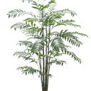 Delux Bamboo Palm Potted 1.8M at Online8 Furniture Auckland NZ