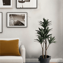 Dracaena Potted - 91cm Faux Plant at Online8 Furniture Auckland NZ
