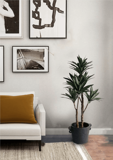 Dracaena Potted - 91cm Faux Plant at Online8 Furniture Auckland NZ