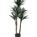 Dracaena Potted - 91cm Faux Plant at Online8 Furniture Auckland NZ